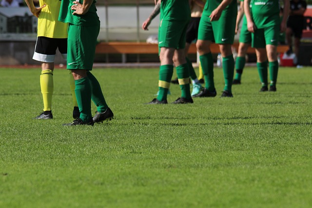 张伯霖谈摇篮舞庆祝：是庆祝我家两只小狗出生